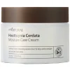 allNATURAL Houttuynia Cordata Moisture Care Cream 50 ml