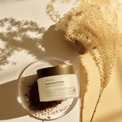 allNATURAL Houttuynia Cordata Moisture Care Cream 50 ml