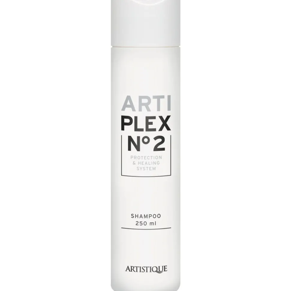 Artistique Arti Plex No2 Shampoo 250 ml