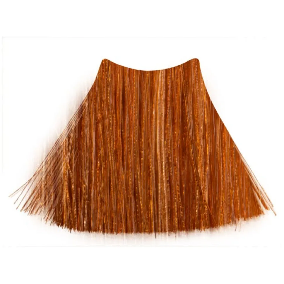 C:EHKO Color Explosion 8/34 Hellblond-Goldkupfer 60 ml