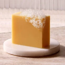 Christophe Robin Hydrating Shampoo Bar Aloe Vera 100 g