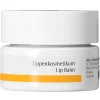 Dr. Hauschka Lippenkosmetikum 4,5 ml