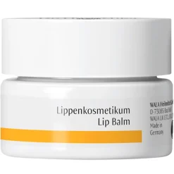 Dr. Hauschka Lippenkosmetikum 4,5 ml