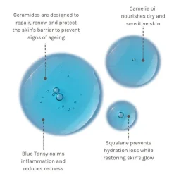 Evolve Blue Velvet Ceramide Serum 30 ml