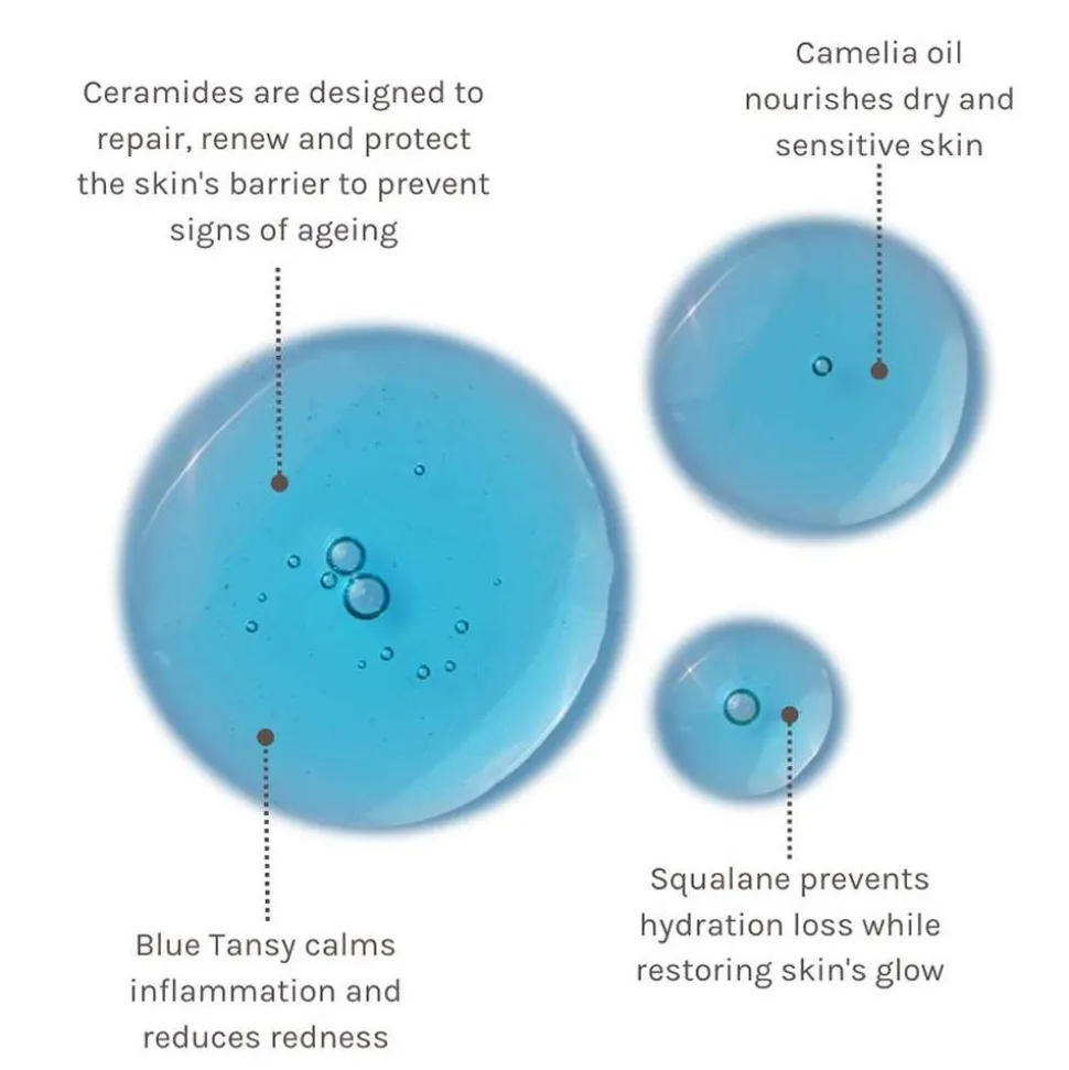 Evolve Blue Velvet Ceramide Serum 30 ml