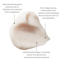 Evolve Hydrate And Protect Facial Cream 30 ml