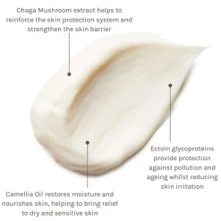 Evolve Pro+Ectoin Soothing Cream 60 ml