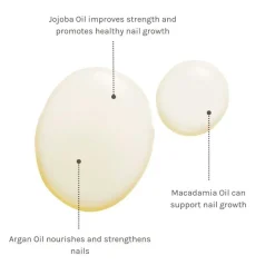 Evolve Timeless Renewal Body Oil 100 ml