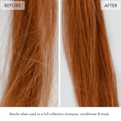 Fekkai Super Strength Protein Power Bond Mist 150 ml