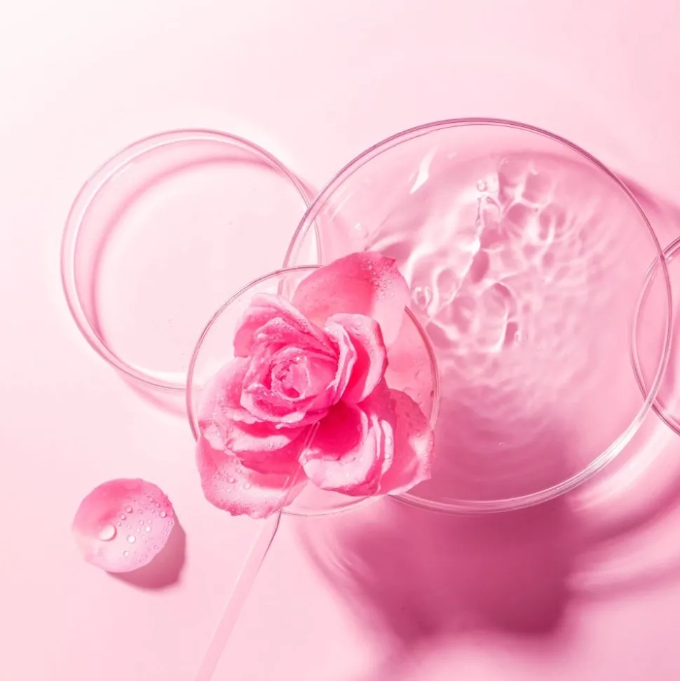 FOREO Sweden Farm To Face Collection Sheet Mask Bulgarian Rose 3 Stück