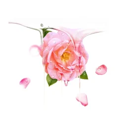 FOREO Sweden UFO Mask Bulgarian Rose 6 Stück