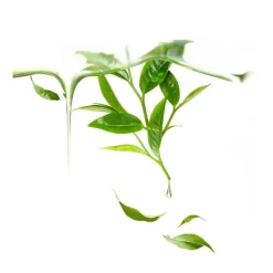 FOREO Sweden UFO Mask Green Tea 7 Stück