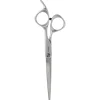 Fromm Shears Transform Schere Silber 6.25 inch