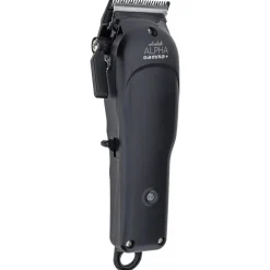 Gamma+ Absolute Alpha