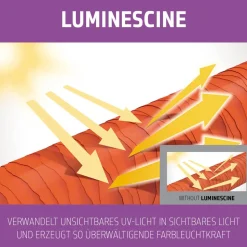 Goldwell Dualsenses Blondes & Highlights Anti-Yellow Conditioner 200 ml