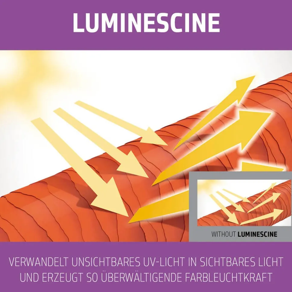 Goldwell Dualsenses Blondes & Highlights Anti-Yellow Conditioner 200 ml