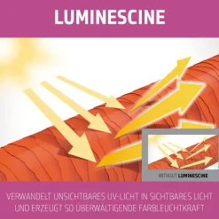 Goldwell Dualsenses Color Brilliance Conditioner 200 ml