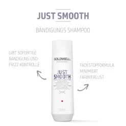 Goldwell Dualsenses Just Smooth Taming Shampoo 250 ml