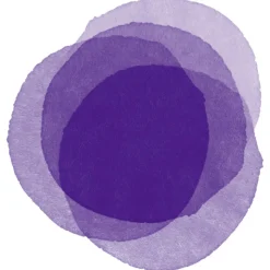 Goldwell Elumen Haarfarbe Violett VV@ALL 200 ml