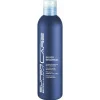 HAIR HAUS Super Brillant Care Silver Shampoo 250 ml