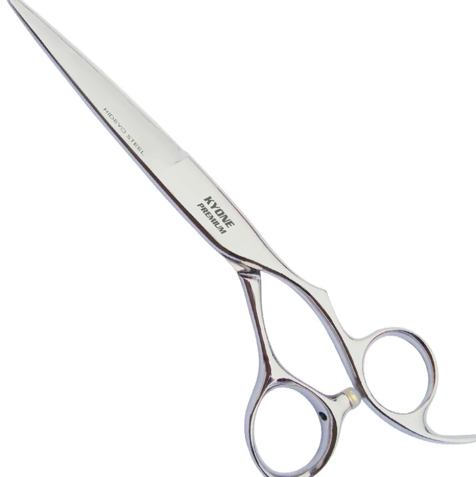 Kyone Premium 4200 - 5,5 Zoll