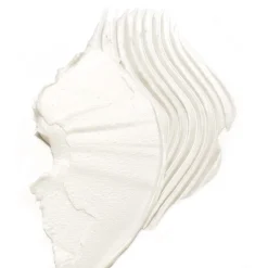 Leonor Greyl Éclat Naturel 50 ml