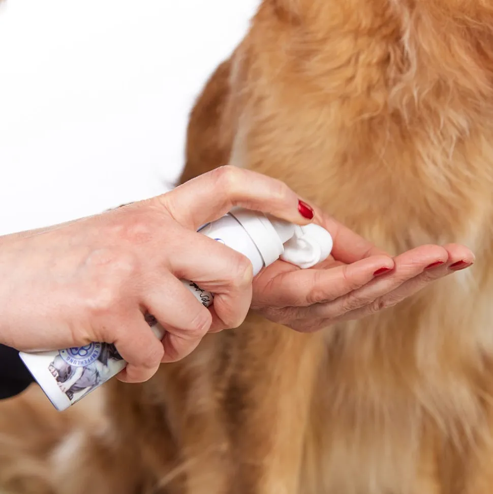 Margot Schmitt Glanz Fell Intensiv Pfotenpflege 75 ml