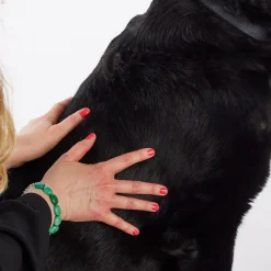 Margot Schmitt Glanz Fell Fellpflege Spray 250 ml