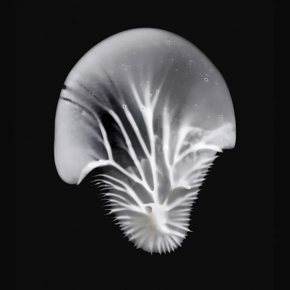 MÁDARA AGE PRO Contour Anti-Falten-Augencreme 15 ml