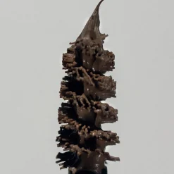 MÁDARA Getöntes Augenbrauengel Dark Brown 4,25 ml