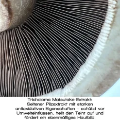 Merme Berlin Fresh Dew Face Mist 100 ml