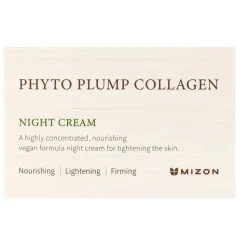 Mizon Phyto Plump Collagen Night Cream 50 ml