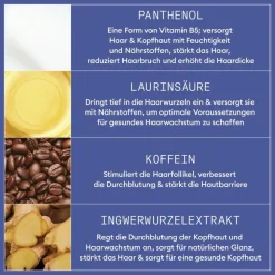 Nioxin Night Density Rescue Serum 70 ml