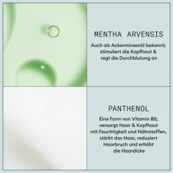 Nioxin Volumizing Mousse 200 ml