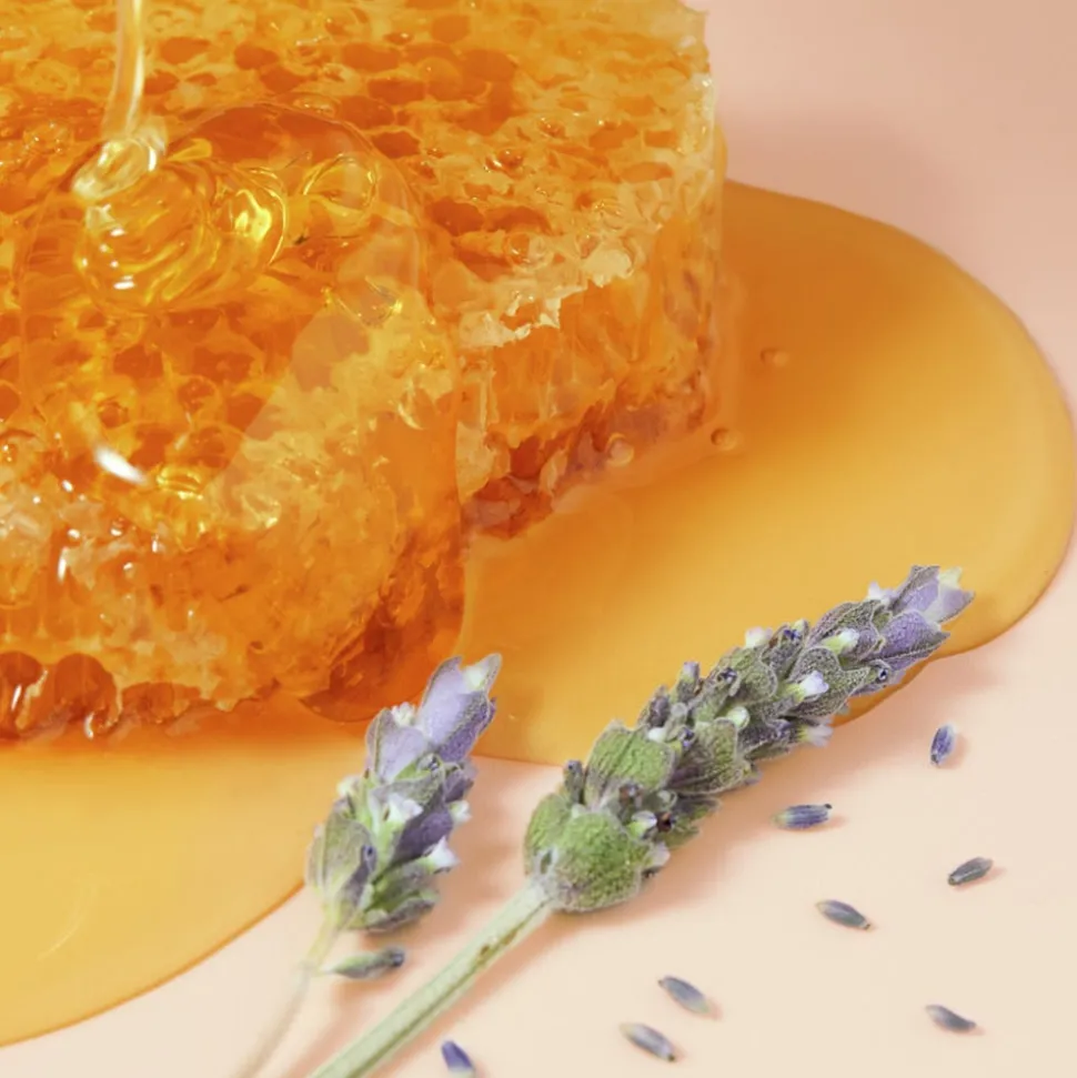 NUXE Kennenlernset Réve de Miel