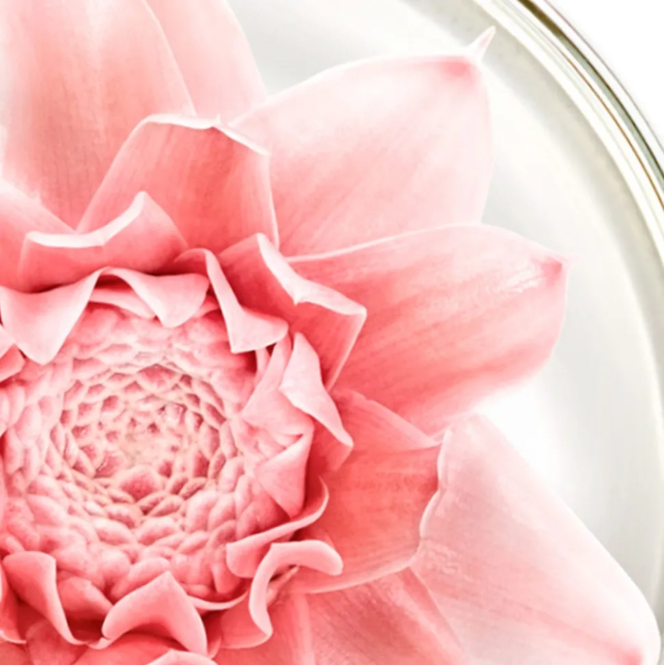 NUXE Nuxuriance Gold Öl-Creme 50 ml