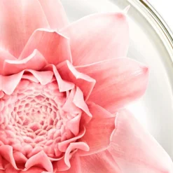 NUXE Nuxuriance Gold Nachtbalsam 50 ml