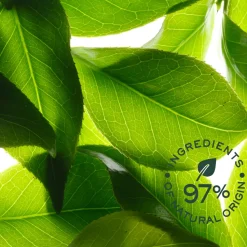 NUXE Rêve de thé Duo Deodorant Fraîcheur 24h