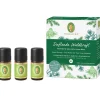PRIMAVERA Set Duftende Waldkraft 3 x 5 ml