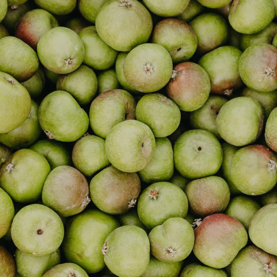 Rausch Anti-Pollution-Spray mit Schweizer Apfel Spray 100 ml