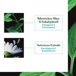 Rene Furterer Astera Fresh Beruhigend-frisches Serum 75 ml