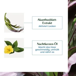 Rene Furterer Sublime Curl Locken Shampoo 200 ml