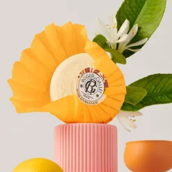 Roger & Gallet Bois D'Orange Seife 100 g