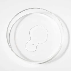 Scandinavian Biolabs Bio-Pilixin Serum - Für Männer 100 ml