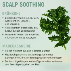 Schwarzkopf BC Bonacure Scalp Soothing Serum 100 ml