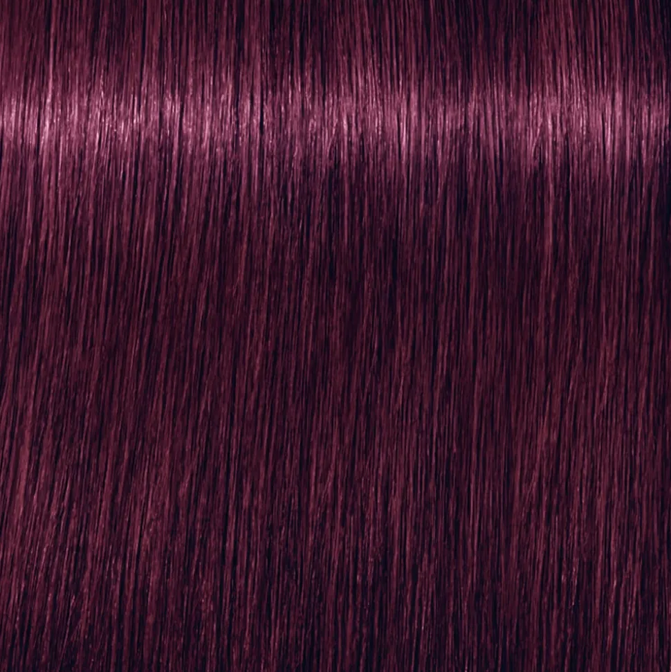 Schwarzkopf Igora Royal 6-99 Dunkelblond Violett
