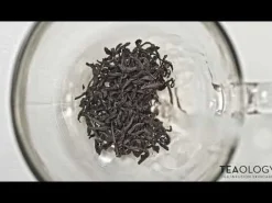 Teaology Revitalizing White Tea Ritual Kit