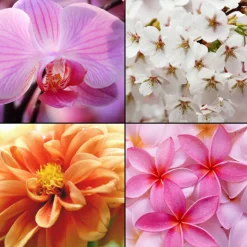 Tesori d´ Oriente Duschgel Orchidee 250 ml