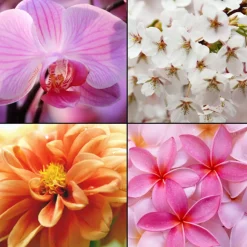 Tesori d´ Oriente Eau de Toilette Imperial Orchid 100 ml