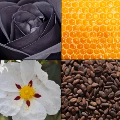 Tesori d´ Oriente Eau de Toilette Byzantium 100 ml